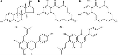 The Hop Polyphenols Xanthohumol and 8-Prenyl-Naringenin Antagonize the Estrogenic Effects of Fusarium Mycotoxins in Human Endometrial Cancer Cells